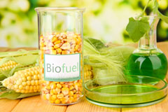 Busveal biofuel availability